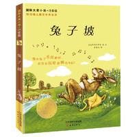 新蕾—国际大小说·注音版--兔子坡