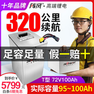 Zhen Feng 阵风 宁德电动车锂电池60v三元锂外卖电瓶车48v磷酸铁锂电动摩托车专用 72V100Ah+蚂蚁300A +15A充