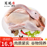 芮瑞农家散养大白鸭子肉土鸭子嫩鸭子肉 净重约900g