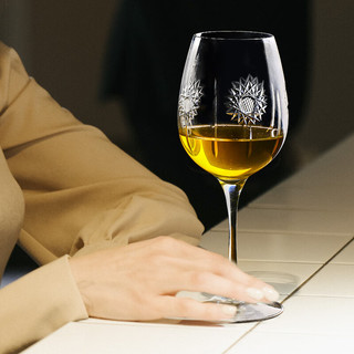 Glass 高斯 捷克高级进口水晶红酒杯设计感复古式欧式风轻奢风高档高脚杯家用 单只品鉴450ml