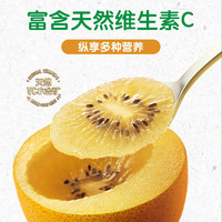 佳沛新西兰金奇异果10粒超大果礼盒装黄心猕猴桃新鲜水果