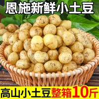 恩施土豆 恩施小土豆現挖湖北新鮮黃心土豆10斤當季蔬菜整箱迷你馬鈴薯洋芋