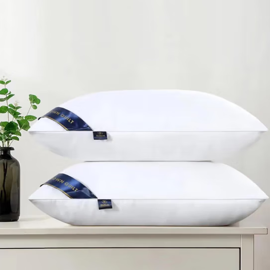 漂傲五星级酒店枕芯羽丝绒家用一对枕装 白色一对装 高枕 48*74cm