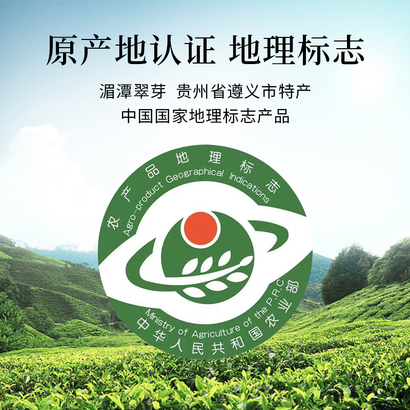 兰馨特级明前雀舌2024新茶绿茶浓香型茶叶自己喝春茶500g湄潭翠芽