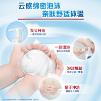88VIP：Safeguard 舒膚佳 紅石榴泡沫洗手液家用兒童含玻尿酸抑菌便攜家庭裝正品官方