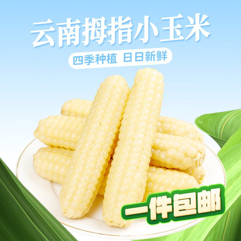 京百味云南拇指小玉米 1000g 西双版纳儿童糯玉米 源头直发 