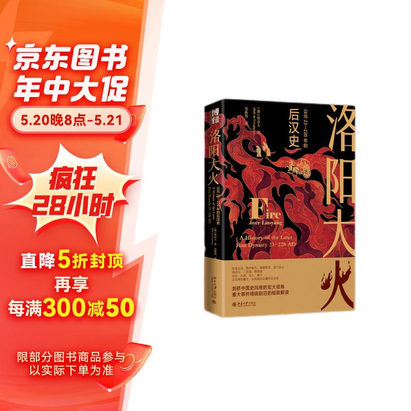 洛阳大火：公元23-220年的后汉史  一部视野宏大的后汉通史 沉浸式体验大汉帝国都城洛阳的兴衰历程