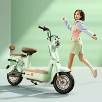 百人團、88VIP：Yadea 雅迪 冠能摩登 電動自行車