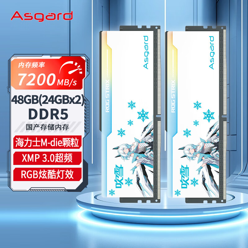 阿斯加特（Asgard）48GB(24GBx2)套装 DDR5 7200 台式机内存 RGB灯条-吹雪联名款