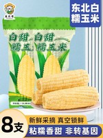 美農哥 新貨東北白糯玉米250g*8支真空包裝新玉米粘黏糯玉米棒苞米非即食