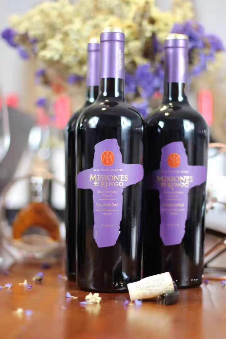 万轩士 Misiones de Rengo 万轩士 特级珍藏 赤霞珠 干红葡萄酒 2011年 750ml 单瓶装
