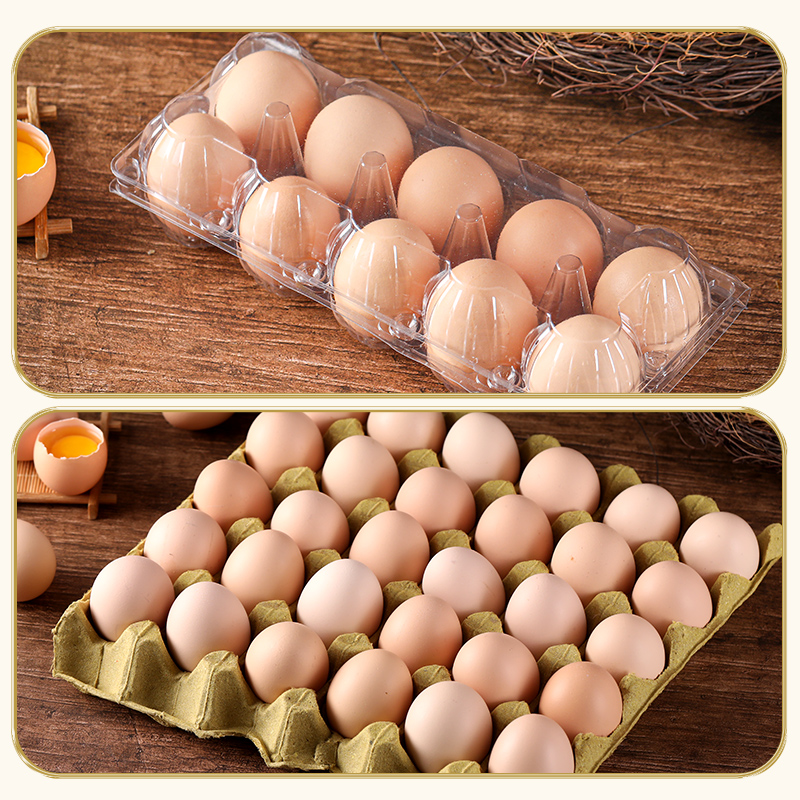【喵满分精选】新鲜土鸡蛋散养柴鸡自养45g*6枚谷物草鸡蛋