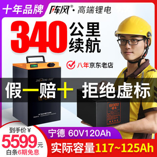 Zhen Feng 阵风 锂电池电动车电池60V大容量外卖电瓶新国标三元锂磷酸铁锂 宁德60V120A+蚂蚁300A+GPS+15A充