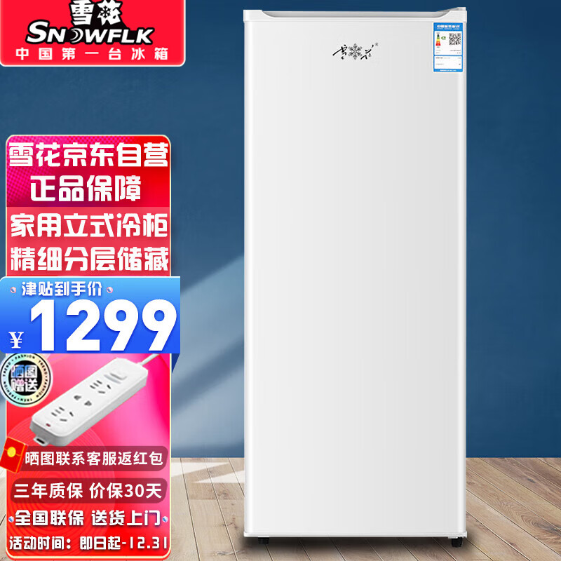 雪花（SNOWFLK）立式小冰柜家用匀冷 冷冻柜抽屉式冷柜囤货小冰柜家用小型冰箱 BD-180
