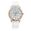 黛天使 一分購跨境供應石英女士手表雙色表盤皮帶女表氣質圓盤手表 白色手表 33mm