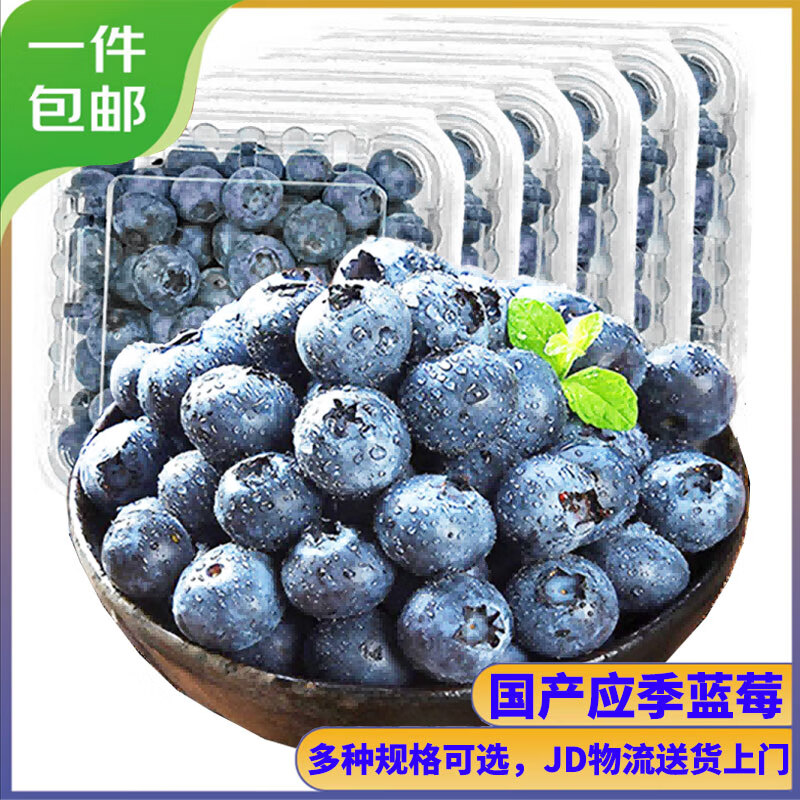 京丰味蓝莓 新鲜时令国产蓝莓水果 125g/盒 精选中大果 果径约14mm以下 4盒