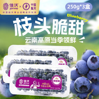 JOYVIO 佳沃 藍莓鮮枝莓14mm+ 3盒禮盒裝 約250g/盒