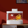 畫法幾何 小型魚缸造景生態樹林水族箱材料套餐內飾裝飾品全套內飾