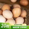 荊品名門 雞蛋 正宗農家生鮮散養土雞蛋鮮雞蛋 20枚 800g