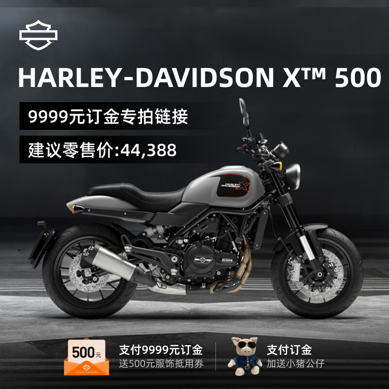 哈雷戴维森（Harley-Davidson）哈雷X™ 500 【新车订金】摩托车骑行双缸水冷500cc排量机车订金 光耀银