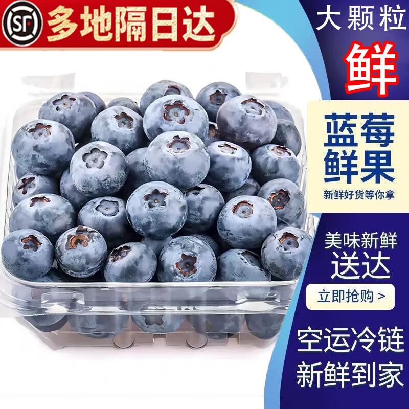鲜其新鲜蓝莓大果当季露天蓝莓浆果水果 净重3斤./12盒中果12-16mm 单果14mm+