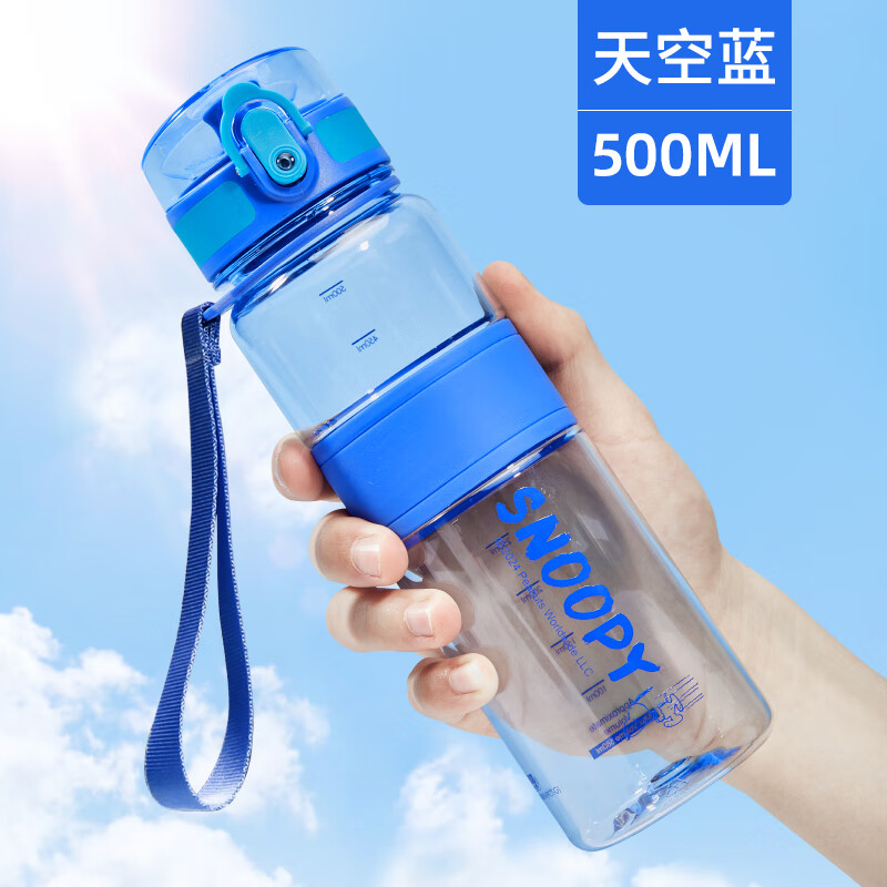 史努比（SNOOPY）运动水杯儿童耐高温塑料水壶夏季男女小学生直饮喝水杯子 蓝500ML