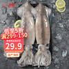 CHUXIAN 初鮮 冷凍整條大魷魚 600-650g 2條