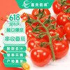 富美鶴城 串收櫻桃番茄新鮮小西紅柿酸甜多汁生吃水果番茄198g*4盒源頭直發