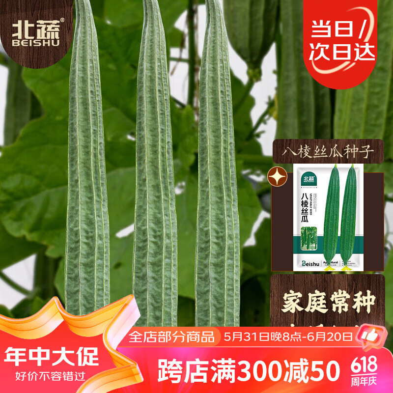 北蔬 丝瓜种子棱丝瓜早熟阳台盆栽四季播种蔬菜种籽 八棱丝瓜种子30粒