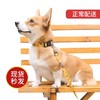 纖寵 寵物狗狗 牽引繩套裝 項圈+牽引繩 小型犬 建議3-18斤