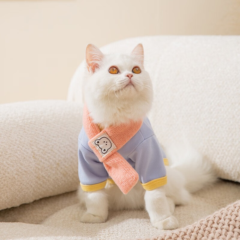 CHU XING JIA宠物猫咪马卡龙秋冬款带围巾衣服防掉棉衣服布偶猫暹罗蓝猫冬季衣