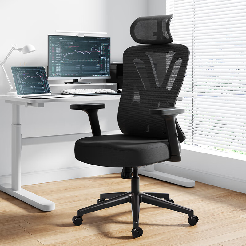 黑白调P5单背款人体工学椅电脑椅电竞椅办公椅老板椅子久坐腰托 P5单背款黑色-标准