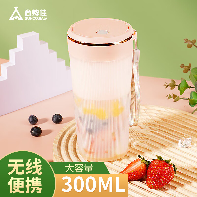 尚烤佳（Suncojia）冰块模具雪糕制冰模具冻冰格冰盒冰淇淋冰棍模具硅胶食品级储存盒 榨汁杯 HB-240