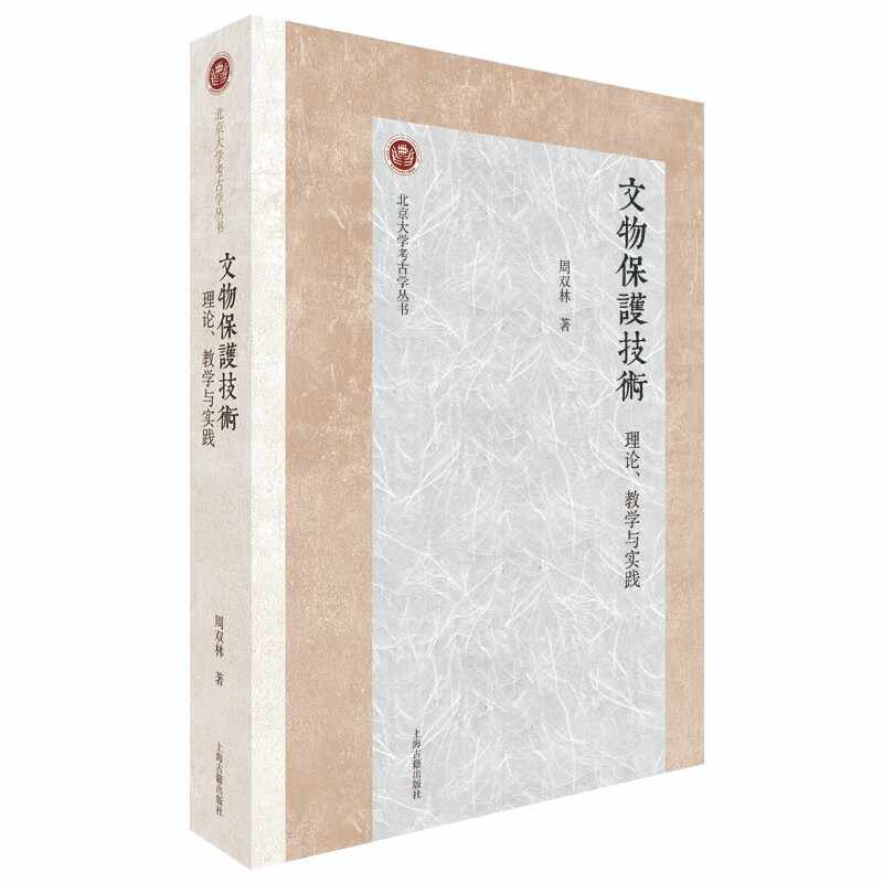 文物保护技术：理论、教学与实践/北京大学考古学丛书