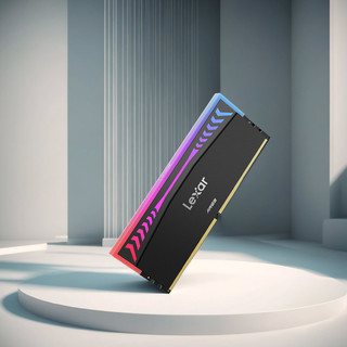 Lexar 雷克沙 DDR5 台式机内存条RGB灯条 32G灰色（16*2，6400频率）