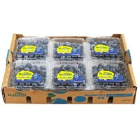 朵界 藍莓 特大果 125g*6盒 單果15-18mm