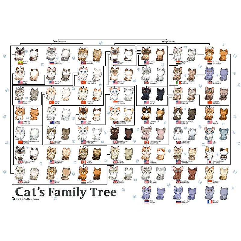 botopBotop拼图成人1000片猫家族狗家族荷兰黑卡纸玩具儿童 猫家族+胶水+刮片+1:1海报 1000片
