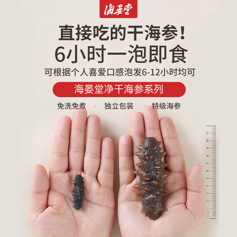 海晏堂特级速发海参礼盒90g刺参大餐干货端午节海鲜特产
