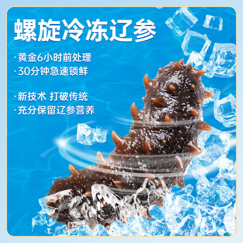 辽参店大连冷冻非即食海参产地发源头好海参1斤装500克