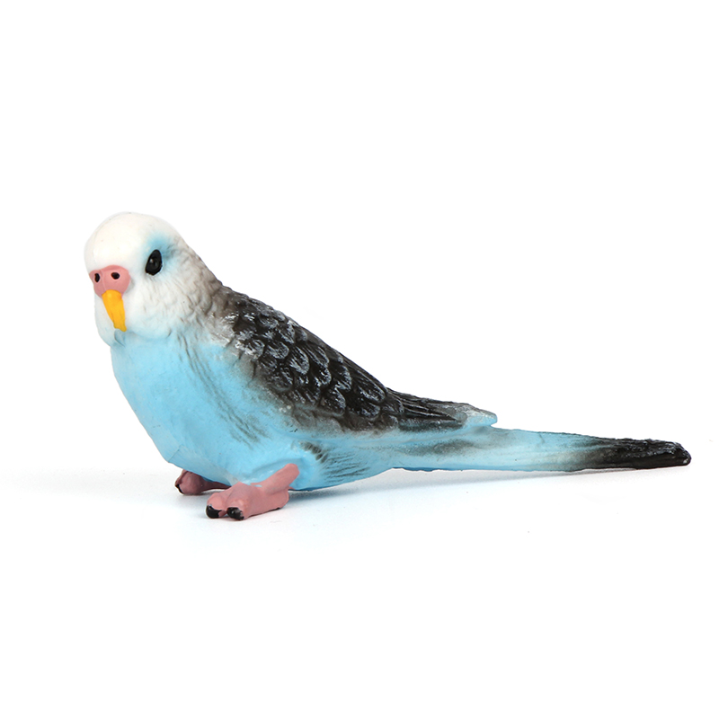 玛奇乐（MECHILE）仿真飞禽鸟类动物模型玩具幼儿园动物教具套装 蓝鹦鹉