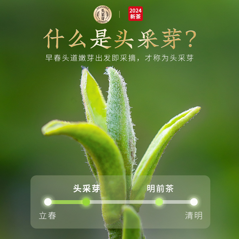 2024新茶乐品乐茶头采碧螺春茶叶明前特级苏州绿茶高档礼盒