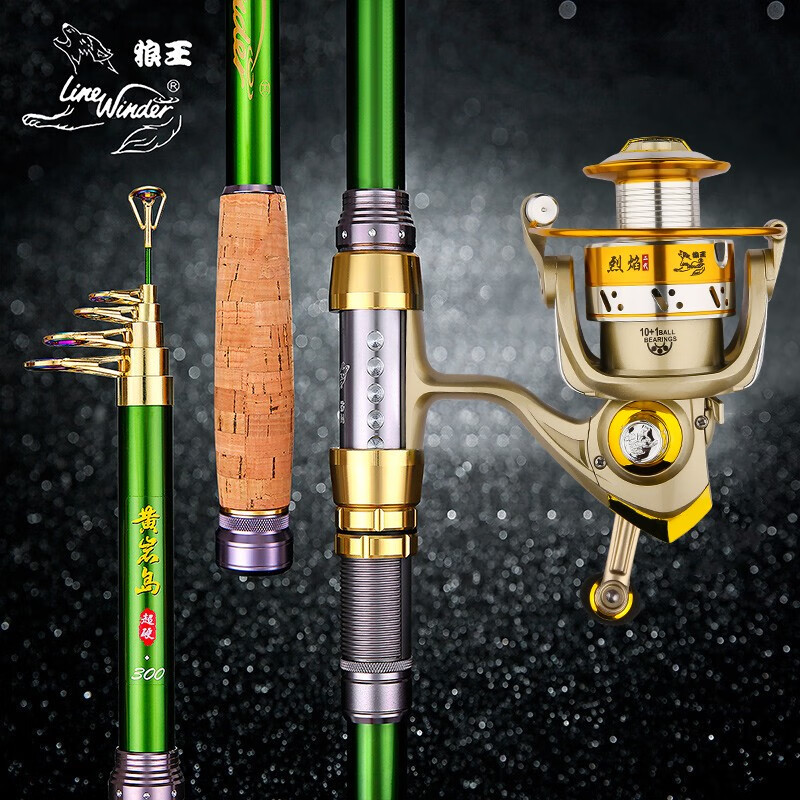 狼王 海杆钓鱼竿抛竿甩杆碳素海竿套装甩竿单竿裸竿抛竿远投竿钓鱼杆