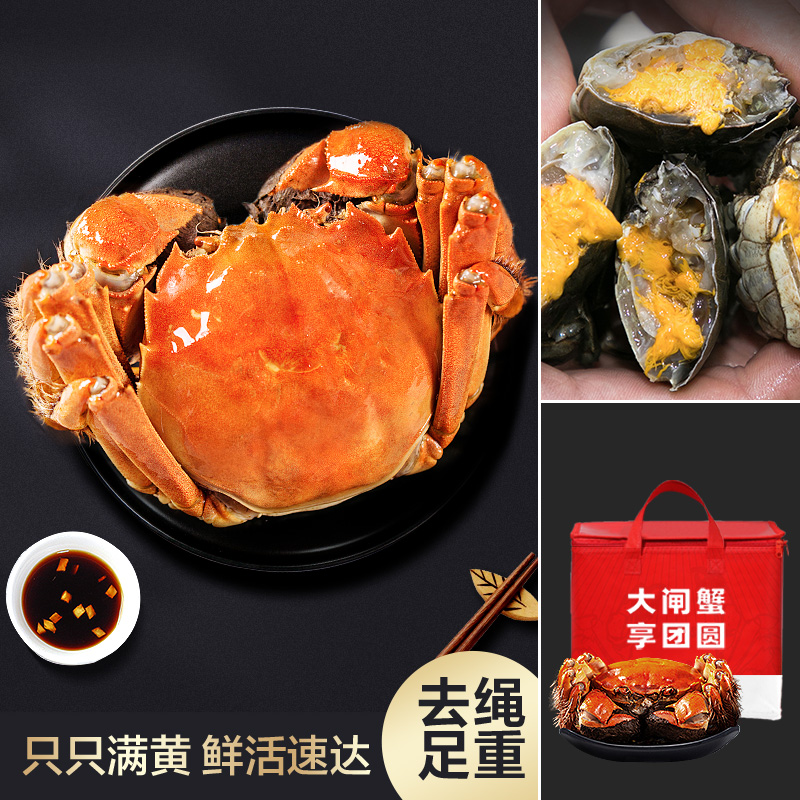 俏苏阁精品六月黄鲜活大闸蟹12只装1.3-1.6两/只活蟹礼盒