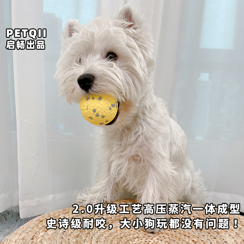 狗狗玩具金毛耐咬球磨牙狗解闷逗柴犬柯基自嗨大型犬宠物用品