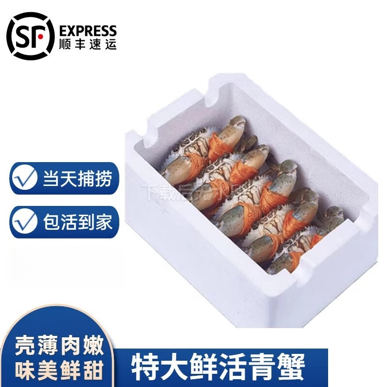 福建 鲜活青蟹公蟹母蟹公母搭配 天然鲜活大青蟹 福建 大青蟹 1斤装1-2只
