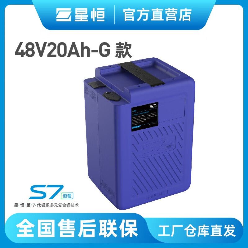 48V20Ah-G款锂电池新国标爱玛台铃绿源电动车电池
