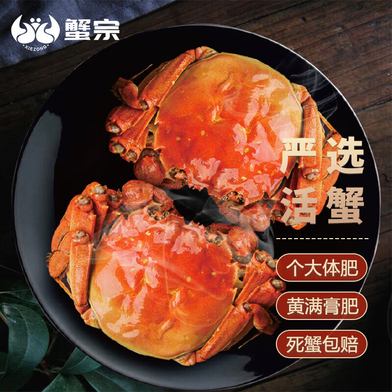 【活蟹】蟹宗 大闸蟹鲜活螃蟹全母4.3-4.6两6只海鲜生鲜中秋海产礼盒源头直发