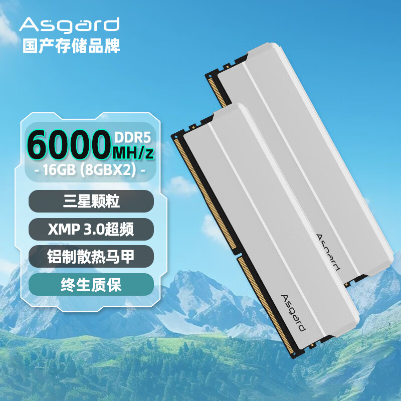 阿斯加特（Asgard）16GB(8GBx2)套装 DDR5 6000 台式机内存 海拉系列