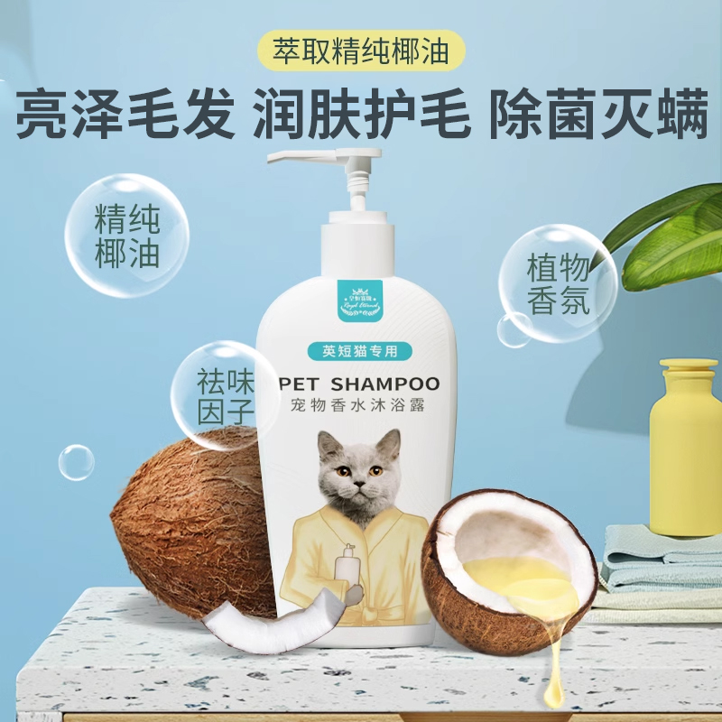 英短银渐层蓝猫猫咪沐浴露杀菌除螨洗澡用品大全宠物沐浴液