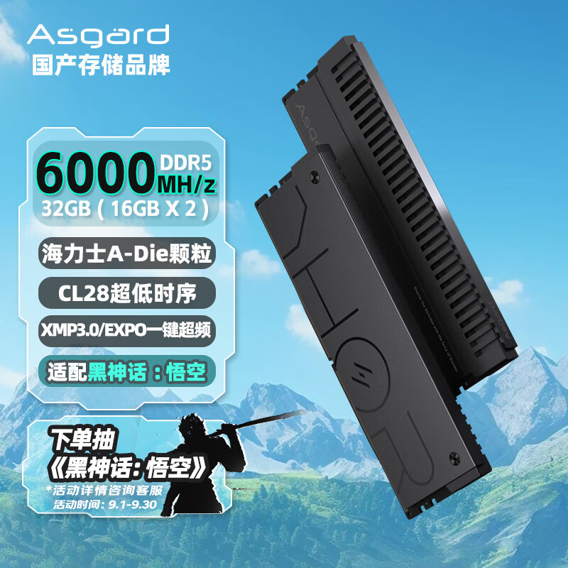 阿斯加特（Asgard）32GB(16Gx2)套 DDR5 6000 台式机内存条 雷神索尔马甲条【C28】适配黑神话悟空